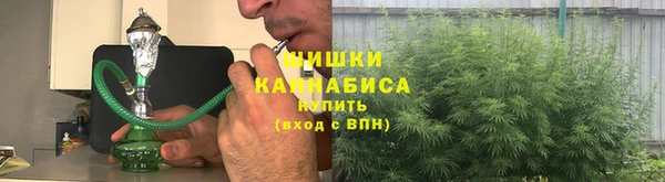 PSILOCYBIN Бородино